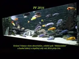 PF 2016 - VŠEM AKVARISTŮM