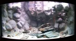 Tanganyická jeskyně 410 litrů