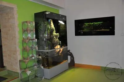 Akvarium, terarium