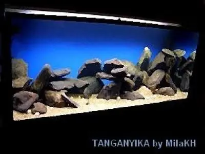 Tanganyika 540l by Mila