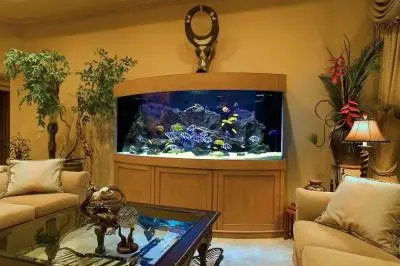 Luxusní akvária