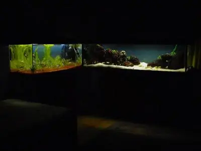 Nově založené akvárium