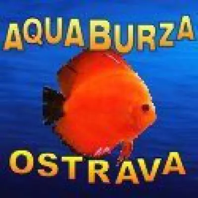 Burza v Ostravě