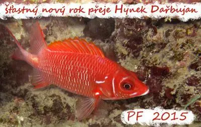 Vánoce a PF 2015